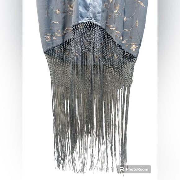 NWT Asos Curve Blue satin and Embroidered Fringe Dress - Picture 7 of 13